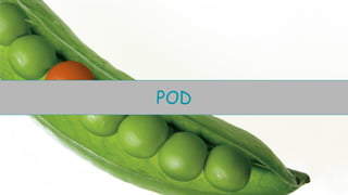 POD
 