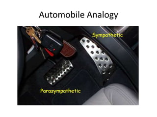 Automobile Analogy
 
