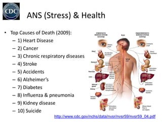 ANS (Stress) & Health
• Top Causes of Death (2009):
   – 1) Heart Disease
   – 2) Cancer
   – 3) Chronic respiratory diseases
   – 4) Stroke
   – 5) Accidents
   – 6) Alzheimer’s
   – 7) Diabetes
   – 8) Influenza & pneumonia
   – 9) Kidney disease
   – 10) Suicide
                      http://www.cdc.gov/nchs/data/nvsr/nvsr59/nvsr59_04.pdf
 