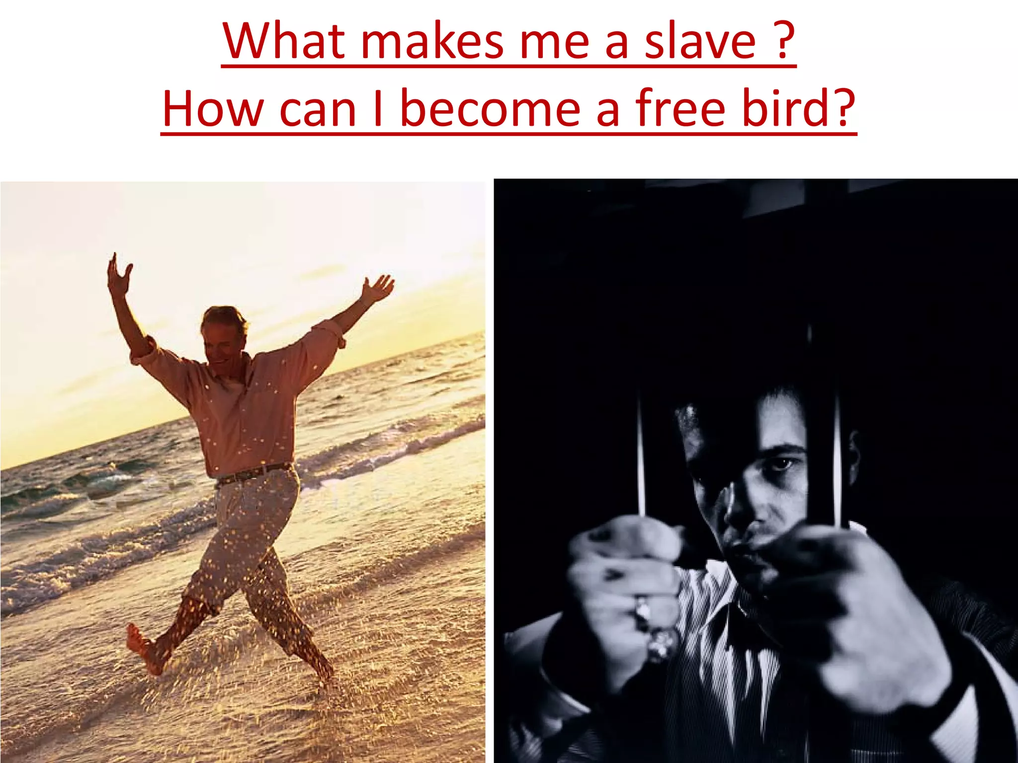 What makes me a slave ?
How can I become a free bird?

 