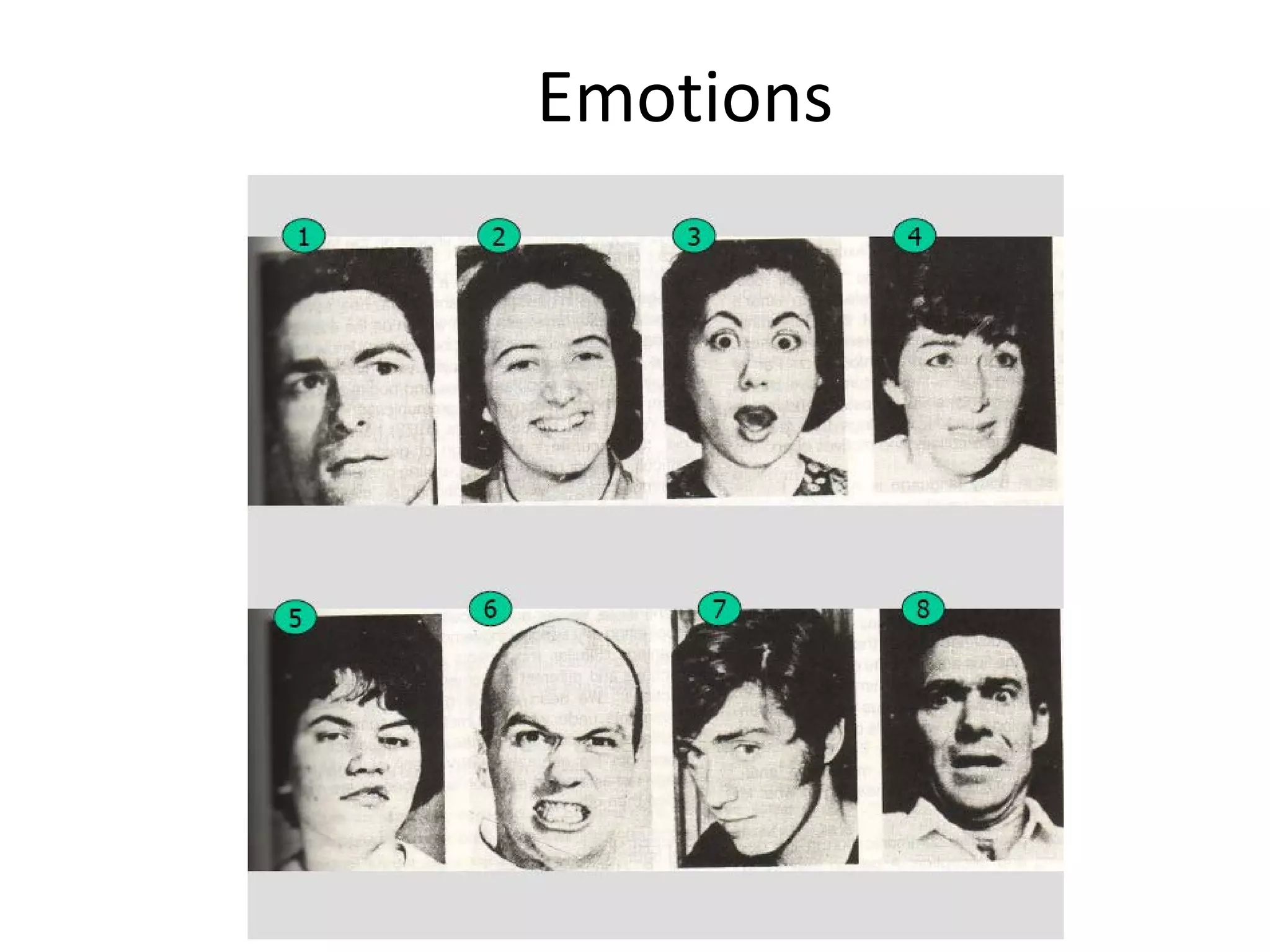 Emotions

 