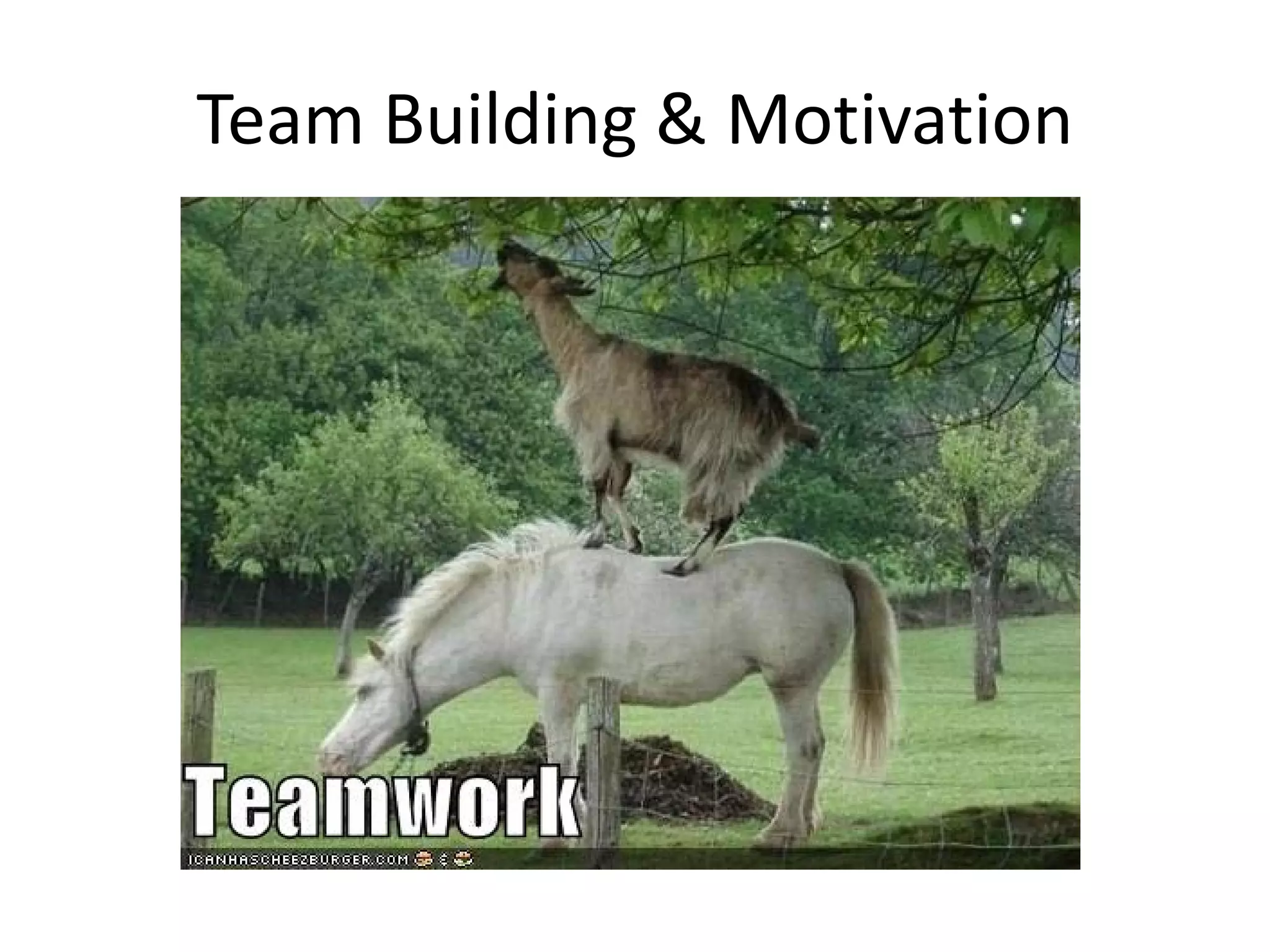 Team Building & Motivation

 