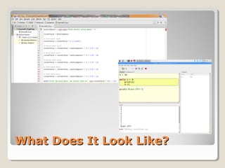 What Does It Look Like?What Does It Look Like?
 