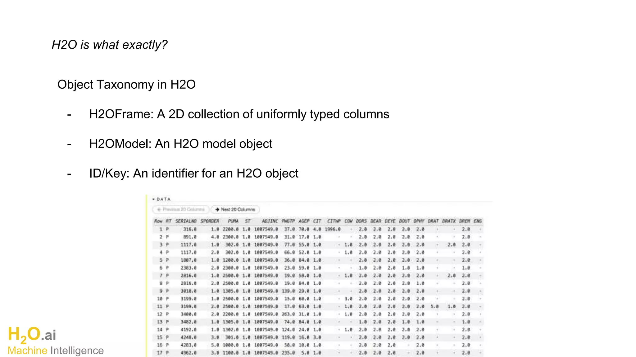 H2O.ai
Machine Intelligence
H2O is what exactly?
Object Taxonomy in H2O
- H2OFrame: A 2D collection of uniformly typed columns
- H2OModel: An H2O model object
- ID/Key: An identifier for an H2O object
 