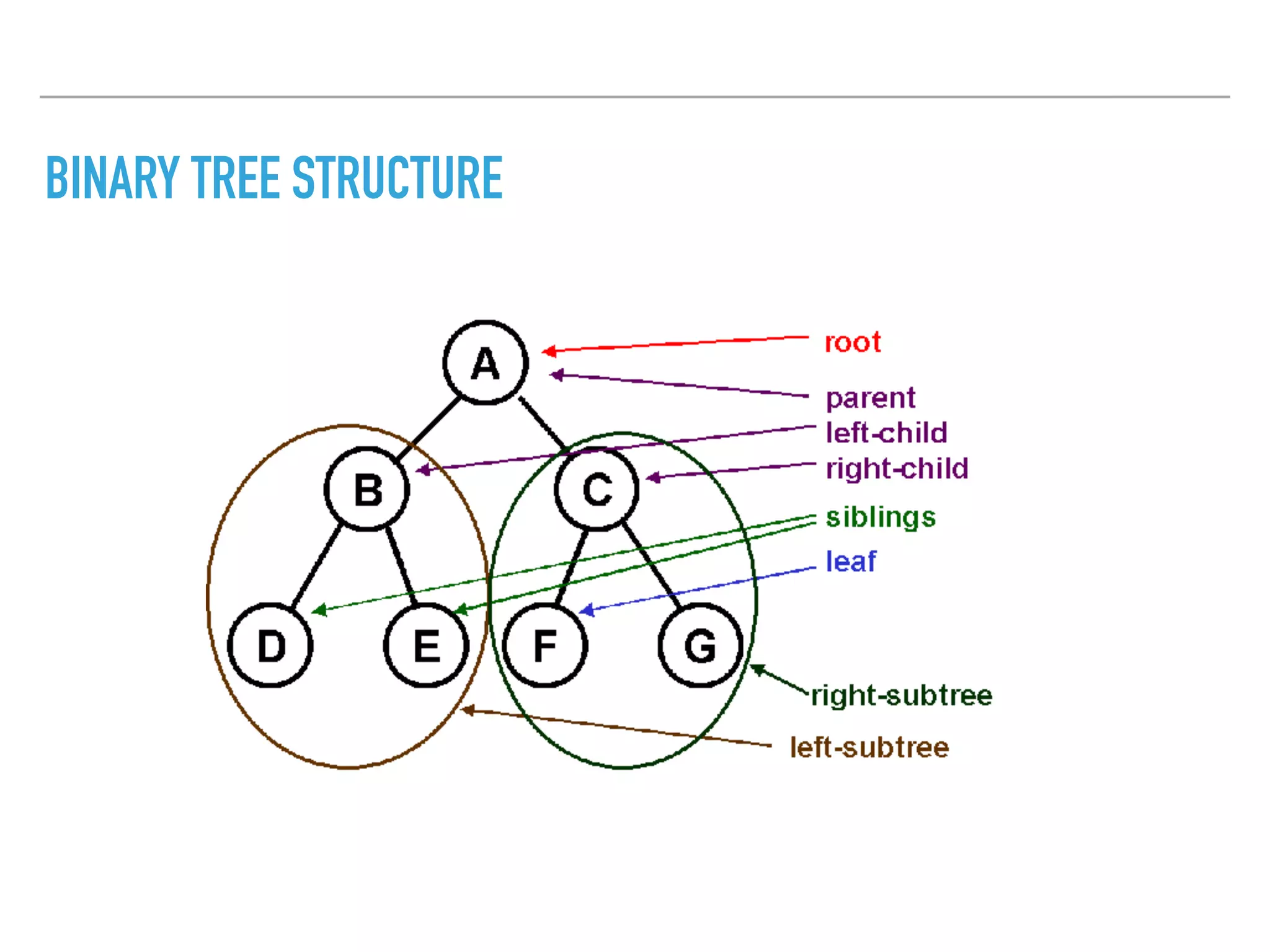 BINARY TREE STRUCTURE
 