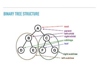 BINARY TREE STRUCTURE
 