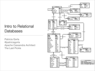 Intro to Relational
Databases
Patricia Gorla

@patriciagorla

Apache Cassandra Architect

The Last Pickle

 