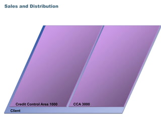 Sales and Distribution




     Credit Control Area 1000   CCA 3000
  Client
 