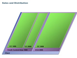 Sales and Distribution




       CC 1000           CC 2000    CC 3000

     Credit Control Area 1000      CCA 3000
  Client
 