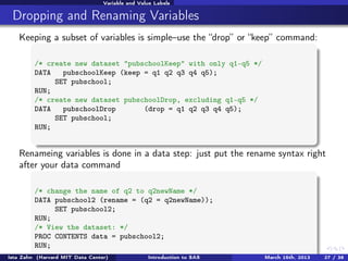 Set Syntax Excluding Introduction to SAS | PDF