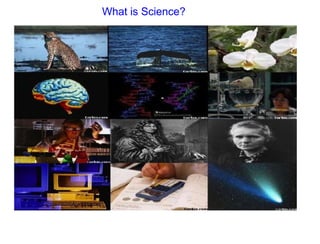 What is Science?
 