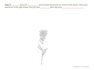 Join Drawing Science Example Intro to Scientific Drawing student version | PPTX
