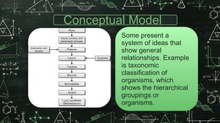 Conceptual Model
Some present a
system of ideas that
show general
relationships. Example
is taxonomic
classification of
organisms, which
shows the hierarchical
groupings or
organisms.
 