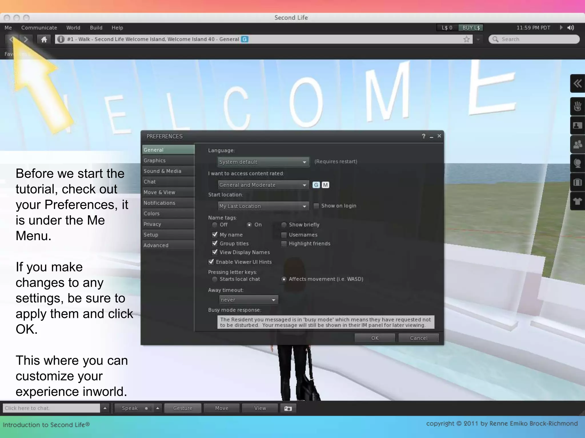 Before we start the tutorial, check out your Preferences, it is under the Me Menu.If you make changes to any settings, be sure to apply them and click OK.This where you can customize your experience inworld.