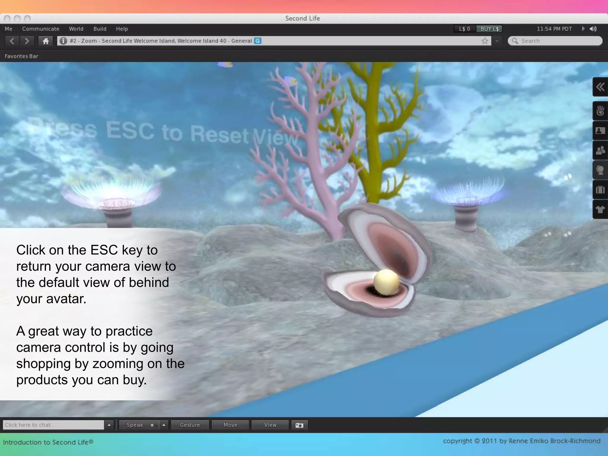 Click on the ESC key to return your camera view to the default view of behind your avatar.A great way to practice camera control is by going shopping by zooming on the products you can buy.