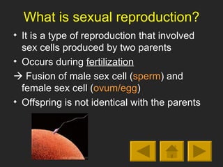 Introduction to sexual reproduction | PPT