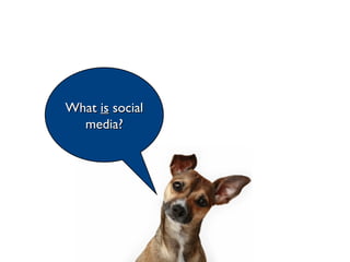 What  is  social media? 