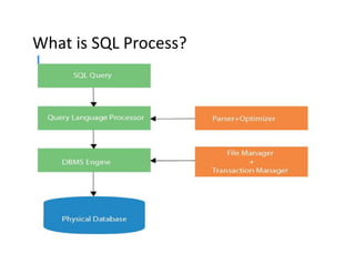 What is SQL Process?
 