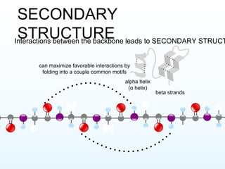Intro to structural biology | PPTX