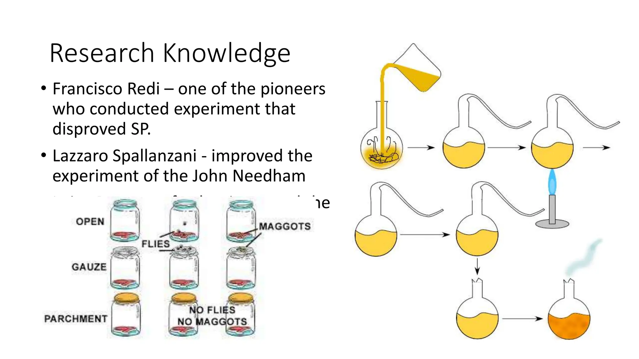 Research Knowledge
• Francisco Redi – one of the pioneers
who conducted experiment that
disproved SP.
• Lazzaro Spallanzani - improved the
experiment of the John Needham
• Loius Pasteur - further improved the
set up of Spallanzani.
 