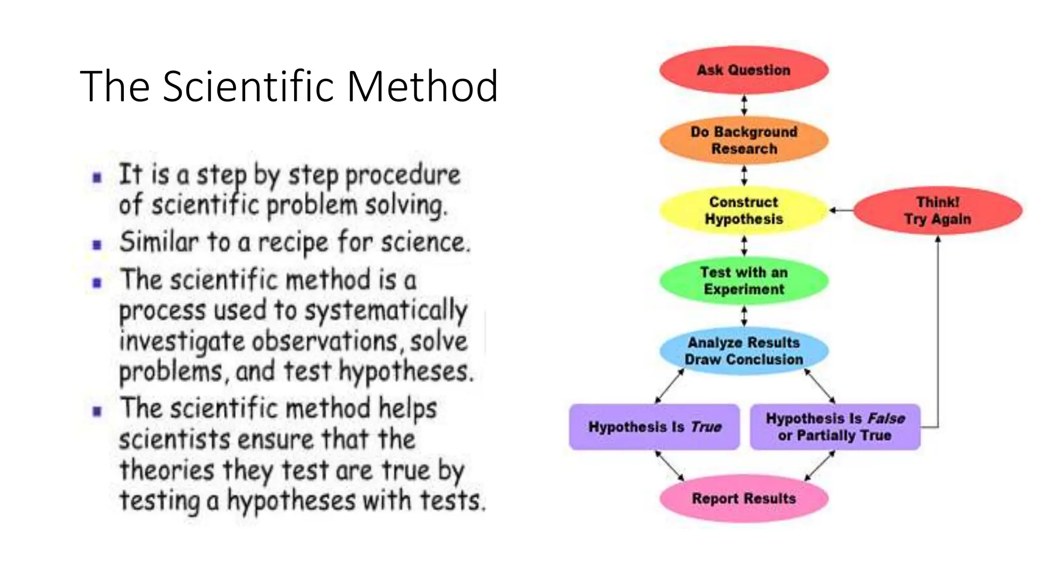 The Scientific Method
 