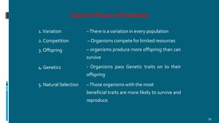 Darwin’sTheory of Evolution
39
1.Variation –There is a variation in every population
2. Competition – Organisms compete for limited resources
3. Offspring – organisms produce more offspring than can
survive
4.Genetics - Organisms pass Genetic traits on to their
offspring
5. Natural Selection –Those organisms with the most
beneficial traits are more likely to survive and
reproduce.
 