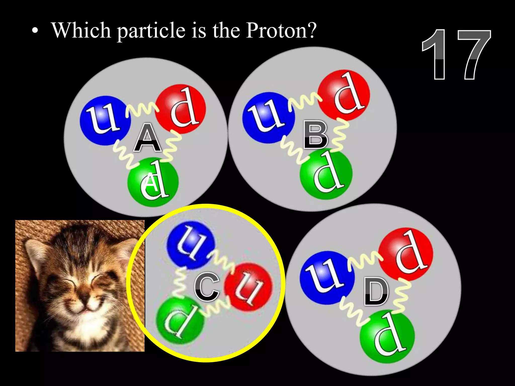 • Which particle is the Proton?
Copyright © 2010 Ryan P. Murphy
A
 