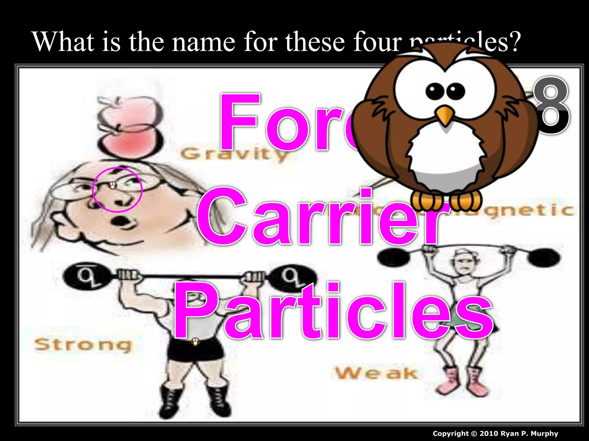 What is the name for these four particles?
Copyright © 2010 Ryan P. Murphy
 