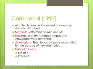 Corkin et al (1997) 
 Aim: To determine the extent of damage 
done to HM’s brain. 
 Method: Performed an MRI on HM. 
 Finding: All of HM’s Hippocampus and 
Amygdala were removed. 
 Conclusions: The hippocampus is responsible 
for the storage of new memories. 
 Critical Thinking: 
 Ethical? 
 Reliable? 
 