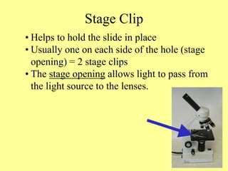 Stage Clip
• Helps to hold the slide in place
• Usually one on each side of the hole (stage
opening) = 2 stage clips
• The stage opening allows light to pass from
the light source to the lenses.
 