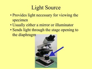 Light Source
• Provides light necessary for viewing the
specimen
• Usually either a mirror or illuminator
• Sends light through the stage opening to
the diaphragm
 