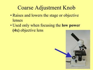 Coarse Adjustment Knob
• Raises and lowers the stage or objective
lenses
• Used only when focusing the low power
(4x) objective lens
 