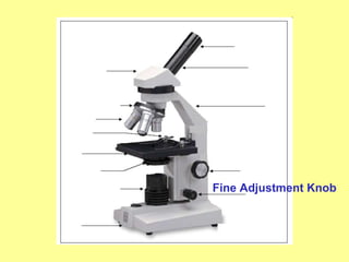 Fine Adjustment Knob
 