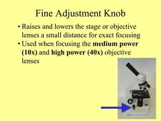 Fine Adjustment Knob
• Raises and lowers the stage or objective
lenses a small distance for exact focusing
• Used when focusing the medium power
(10x) and high power (40x) objective
lenses
 