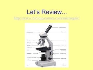 Let’s Review...
http://www.biologycorner.com/microquiz/
 