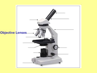 Objective Lenses
 