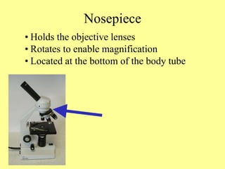 Nosepiece
• Holds the objective lenses
• Rotates to enable magnification
• Located at the bottom of the body tube
 