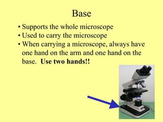 Base
• Supports the whole microscope
• Used to carry the microscope
• When carrying a microscope, always have
one hand on the arm and one hand on the
base. Use two hands!!
 
