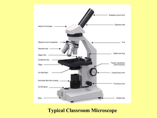 Typical Classroom Microscope
 