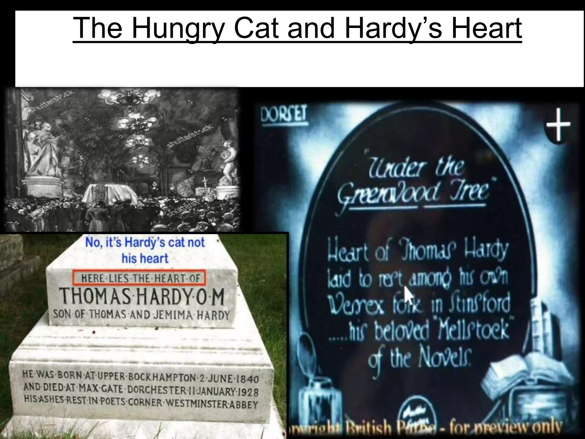 The Hungry Cat and Hardy’s Heart
 