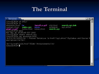 The Terminal
 