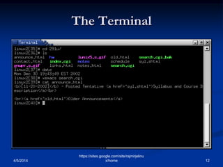 The Terminal
4/5/2014 12
https://sites.google.com/site/rajmirjelinu
x/home
 