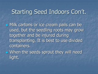 Intro To Urban Vegetables V.2