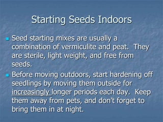 Intro To Urban Vegetables V.2