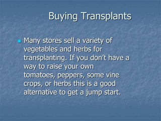 Intro To Urban Vegetables V.2