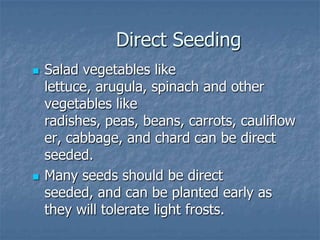 Intro To Urban Vegetables V.2