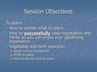 Intro To Urban Vegetables V.2