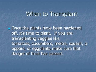 Intro To Urban Vegetables V.2