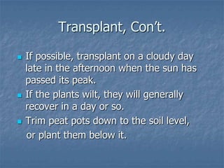 Intro To Urban Vegetables V.2